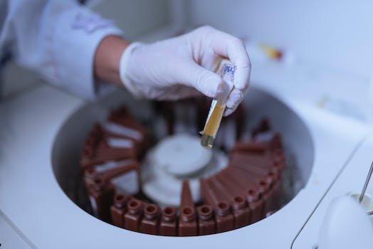 Quels sont les jeux les plus proposés par les casinos en ligne ?